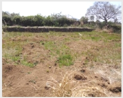  2025Ÿ1113  ֽ Ѹ ݾǸ 2698      (Ӿ)