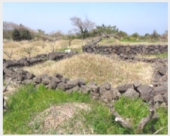  2025Ÿ1113  ֽ Ѹ ݾǸ 2698      (Ӿ)