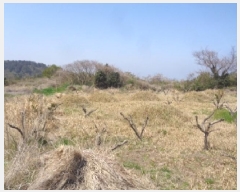  2025Ÿ1113  ֽ Ѹ ݾǸ 2698      (Ӿ)