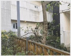  2025Ÿ1125     2476 ־ũƮ ̵ 1101103ȣ   ǽڰ