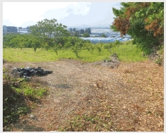  2025Ÿ��1166 ���� �������� ������ 5549       ����(��1)���