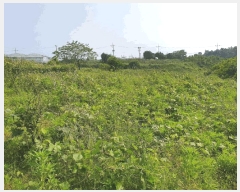  2025Ÿ��1166 ���� �������� ������ 5549       ����(��1)���