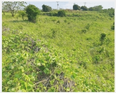  2025Ÿ��1166 ���� �������� ������ 5549       ����(��1)���