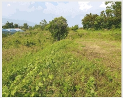  2025Ÿ��1166 ���� �������� ������ 5549       ����(��1)���