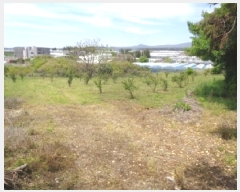  2025Ÿ��1166 ���� �������� ������ 5549       ����(��1)���