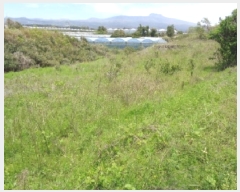  2025Ÿ��1166 ���� �������� ������ 5549       ����(��1)���