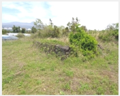  2025Ÿ��1166 ���� �������� ������ 5549       ����(��1)���