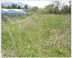  2025Ÿ��1166 ���� �������� ������ 5549       ����(��1)���