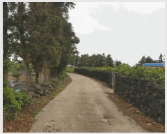  2025Ÿ1183   Ͽ 787-1       (1)