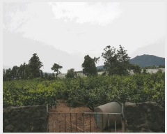  2025Ÿ1183   Ͽ 787-1       (1)