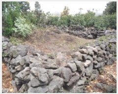  2025Ÿ1183   Ͽ 787-1       (1)