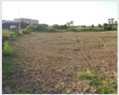  2025Ÿ��1190  �����