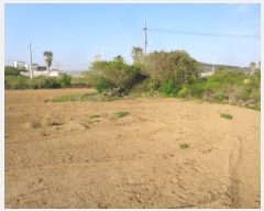  2025Ÿ��1190  �����