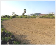  2025Ÿ��1190  �����