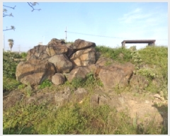  2025Ÿ��1190  �����