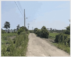  2025Ÿ��1198 ���� ���ֽ� �ֿ��� ������ 67      ����(��1)���