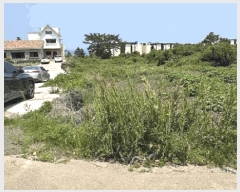  2025Ÿ��1198 ���� ���ֽ� �ֿ��� ������ 67      ����(��1)���