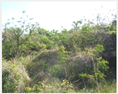  2025Ÿ��1198 ���� ���ֽ� �ֿ��� ������ 67      ����(��1)���