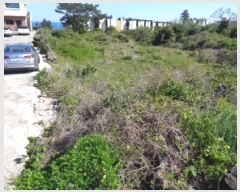  2025Ÿ��1198 ���� ���ֽ� �ֿ��� ������ 67      ����(��1)���