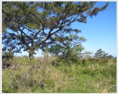  2025Ÿ��1198 ���� ���ֽ� �ֿ��� ������ 67      ����(��1)���