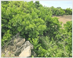  2025Ÿ��1208 ���� ���ֽ� �쵵�� ���� 1357      ����(��1)���