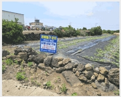  2025Ÿ��1208 ���� ���ֽ� �쵵�� ���� 1357      ����(��1)���