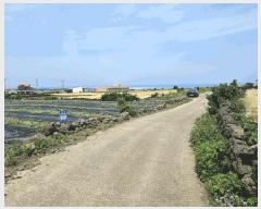  2025Ÿ��1208 ���� ���ֽ� �쵵�� ���� 1357      ����(��1)���