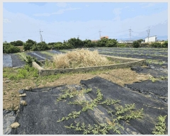  2025Ÿ��1208 ���� ���ֽ� �쵵�� ���� 1357      ����(��1)���