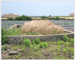  2025Ÿ��1208 ���� ���ֽ� �쵵�� ���� 1357      ����(��1)���