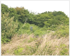  2025Ÿ1226  ֽ õ ︮ 890      (1)