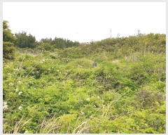  2025Ÿ1226  ֽ õ ︮ 890      (1)