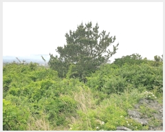  2025Ÿ1226  ֽ õ ︮ 890      (1)