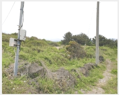  2025Ÿ1226  ֽ õ ︮ 890      (1)