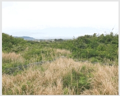  2025Ÿ1226  ֽ õ ︮ 890      (1)