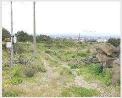  2025Ÿ1226  ֽ õ ︮ 890      (1)