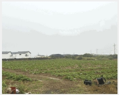  2025Ÿ��1237 ���� ���ֽ� ��õ�� ��õ�� 923      ����(��1)���