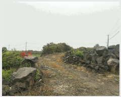  2025Ÿ��1237 ���� ���ֽ� ��õ�� ��õ�� 923      ����(��1)���