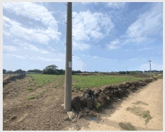  2025Ÿ��1255 ���� �������� ������ ������ 1551-1      ����(��1)���