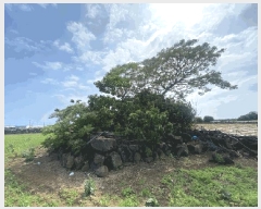  2025Ÿ��1255 ���� �������� ������ ������ 1551-1      ����(��1)���