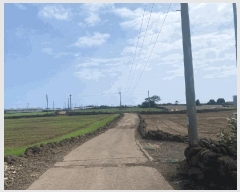  2025Ÿ��1255 ���� �������� ������ ������ 1551-1      ����(��1)���