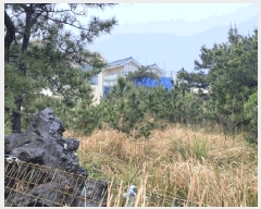  2025Ÿ��1283 ���� ���ֽ� �ֿ��� �ֿ��� 2525-2      ����(��1)���