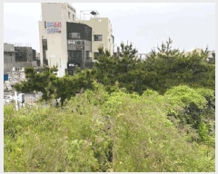  2025Ÿ��1283 ���� ���ֽ� �ֿ��� �ֿ��� 2525-2      ����(��1)���