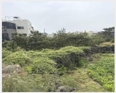  2025Ÿ��1283 ���� ���ֽ� �ֿ��� �ֿ��� 2525-2      ����(��1)���