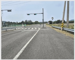  2025Ÿ��1305 ���� �������� ������ ���︮ 980-53      ����(�Ӿ�)���