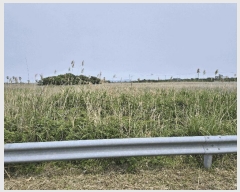  2025Ÿ��1305 ���� �������� ������ ���︮ 980-53      ����(�Ӿ�)���