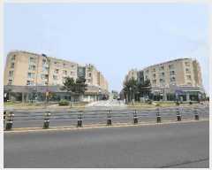  2025Ÿ��1317 ���� �������� ������ ���긮 392 ���� ���� ��ġ�� Ŭ���þ�  �ټ���,������