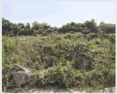  2025Ÿ��1344 ���� ���ֽ� �Ѱ�� ����� 825-3      ����(��1)���