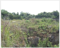  2025Ÿ��1344 ���� ���ֽ� �Ѱ�� ����� 825-3      ����(��1)���