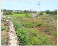  2025Ÿ��1344 ���� ���ֽ� �Ѱ�� ����� 825-3      ����(��1)���