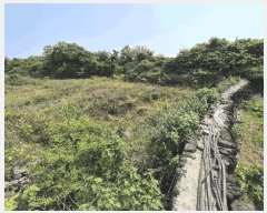  2025Ÿ��1344 ���� ���ֽ� �Ѱ�� ����� 825-3      ����(��1)���